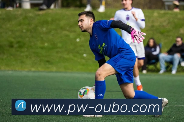 欧博abg官方入口APP 封面图